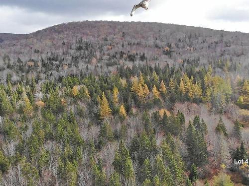 3 Lots Gold River Road, Upper Middle River, NS 