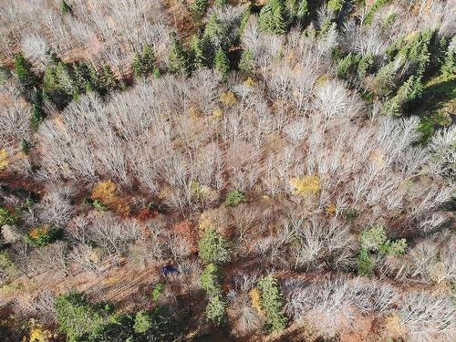 3 Lots Gold River Road, Upper Middle River, NS 