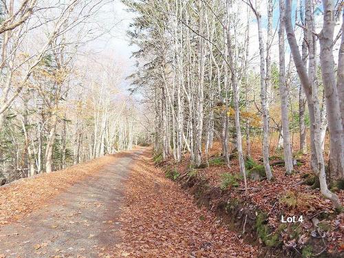 3 Lots Gold River Road, Upper Middle River, NS 