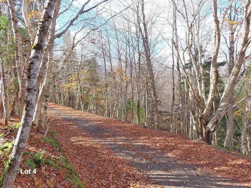 3 Lots Gold River Road, Upper Middle River, NS 