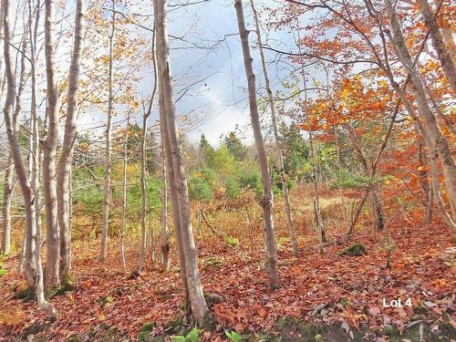 3 Lots Gold River Road, Upper Middle River, NS 