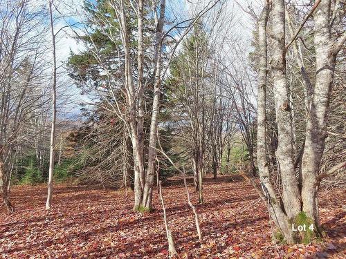 3 Lots Gold River Road, Upper Middle River, NS 