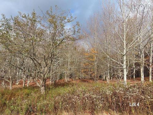 3 Lots Gold River Road, Upper Middle River, NS 