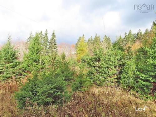 3 Lots Gold River Road, Upper Middle River, NS 