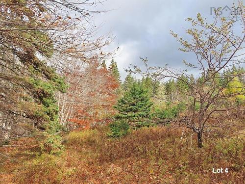 3 Lots Gold River Road, Upper Middle River, NS 