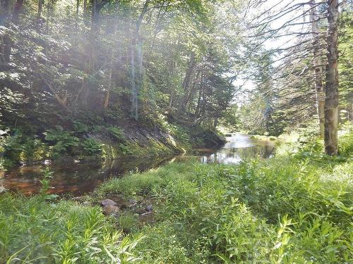 3 Lots Gold River Road, Upper Middle River, NS 