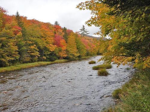 3 Lots Gold River Road, Upper Middle River, NS 