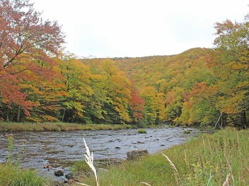 3 Lots Gold River Road, Upper Middle River, NS 