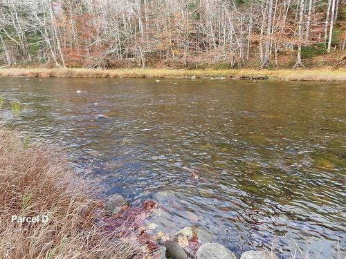 3 Lots Gold River Road, Upper Middle River, NS 