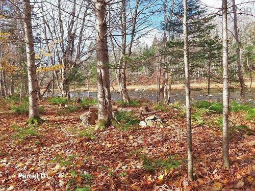 3 Lots Gold River Road, Upper Middle River, NS 