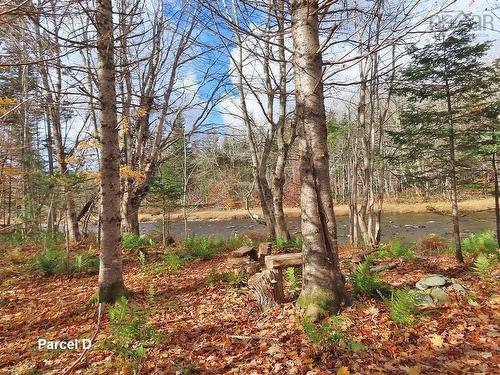 3 Lots Gold River Road, Upper Middle River, NS 