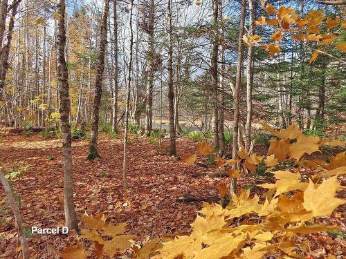 3 Lots Gold River Road, Upper Middle River, NS 