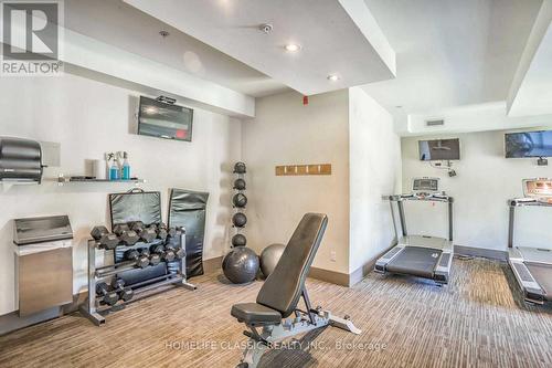 203 - 570 Lolita Gardens, Mississauga, ON - Indoor Photo Showing Gym Room