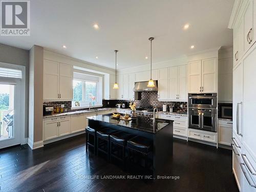 20 Natural Terrace, Brampton, ON - Indoor Photo Showing Kitchen With Upgraded Kitchen