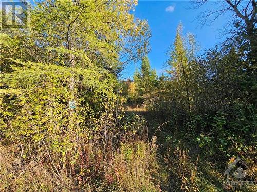 The BEAST,” this is one of the largest snowmobile associations in Ontario. It manages about 330 kilometers of trails in southwestern Ottawa, and Trail 309 of the BEAST is just down the road. - B22/102 Graham Road, Beckwith, ON 