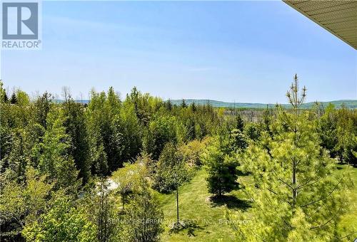 302 - 8 Brandy Lane Drive, Collingwood, ON - Outdoor With View