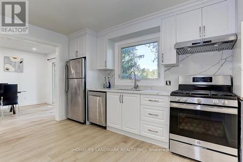 359 Adeline Drive, Georgina, ON - Indoor Photo Showing Kitchen