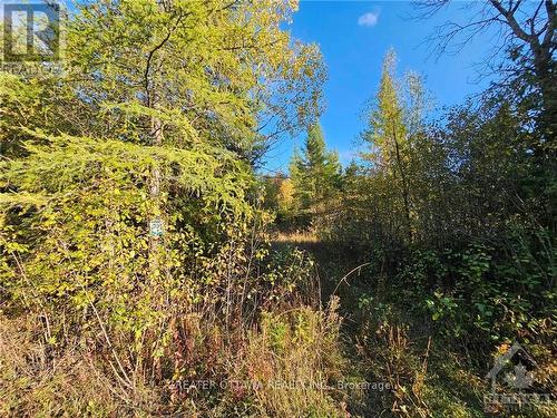 The BEAST,” this is one of the largest snowmobile associations in Ontario. It manages about 330 kilometers of trails in southwestern Ottawa, and Trail 309 of the BEAST is just down the road. - 000 Graham Road, Beckwith, ON 