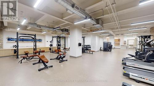 431 - 150 Logan Avenue, Toronto, ON - Indoor Photo Showing Gym Room