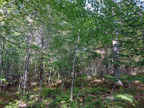 Lot 25 Doris Lane, Kempt Road, NS 