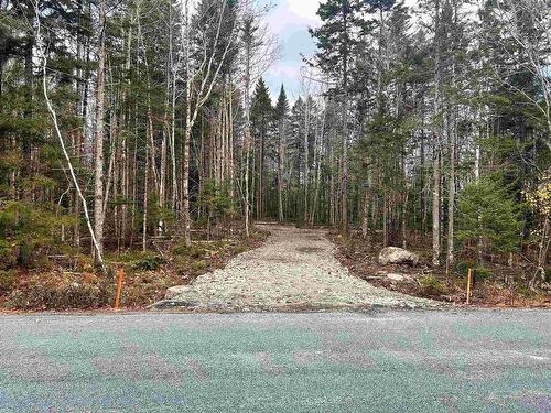 Lot 12 Walburne Road, Newburne, NS 