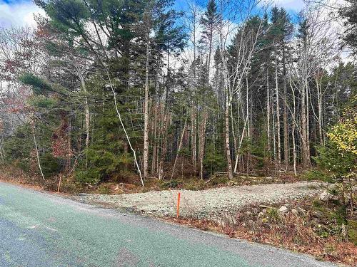 Lot 12 Walburne Road, Newburne, NS 