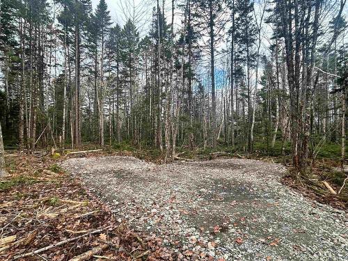 Lot 12 Walburne Road, Newburne, NS 