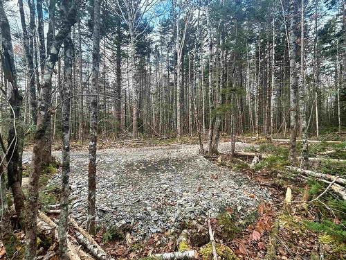 Lot 12 Walburne Road, Newburne, NS 