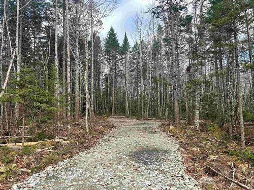 Lot 12 Walburne Road, Newburne, NS 