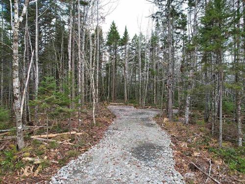 Lot 12 Walburne Road, Newburne, NS 