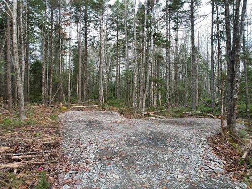 Lot 12 Walburne Road, Newburne, NS 