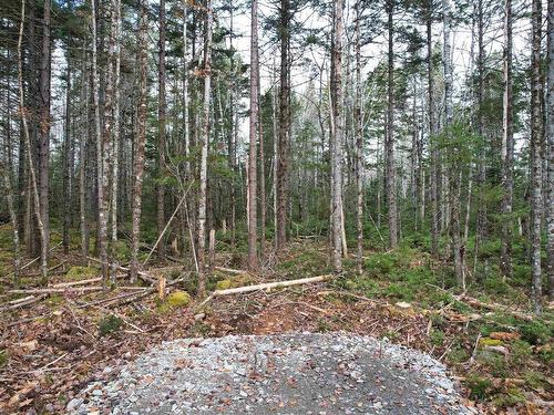 Lot 12 Walburne Road, Newburne, NS 