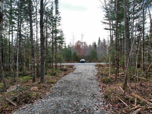 Lot 12 Walburne Road, Newburne, NS 