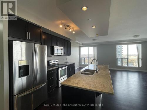 2008 - 330 Ridout Street N, London, ON - Indoor Photo Showing Kitchen With Stainless Steel Kitchen With Double Sink With Upgraded Kitchen