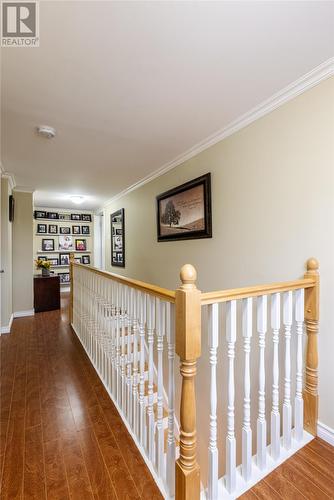 32 Doyles And Quigleys Lane, Torbay, NL - Indoor Photo Showing Other Room