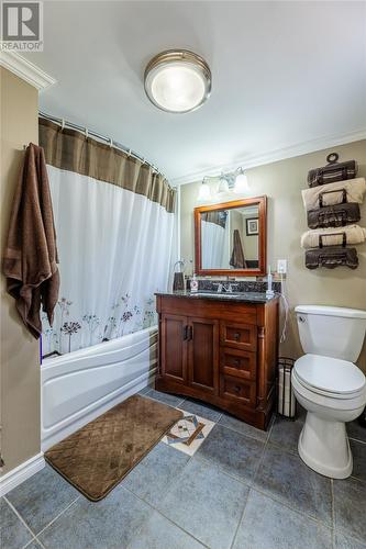 32 Doyles And Quigleys Lane, Torbay, NL - Indoor Photo Showing Bathroom