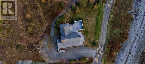 19 Boat Cove Road, Renews, NL - Outdoor