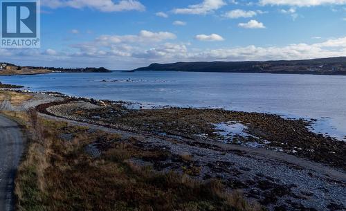 19 Boat Cove Road, Renews, NL - Outdoor With Body Of Water With View