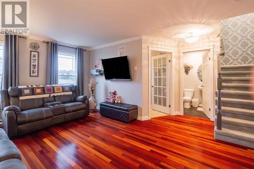 1 Mullingar Drive, Paradise, NL - Indoor Photo Showing Living Room