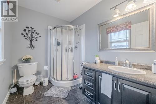 1 Mullingar Drive, Paradise, NL - Indoor Photo Showing Bathroom