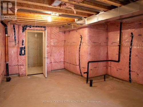 983 Edinburgh Drive, Woodstock, ON - Indoor Photo Showing Basement