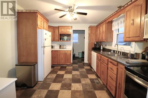 157 Main Street, Cow Head, NL - Indoor Photo Showing Kitchen With Double Sink