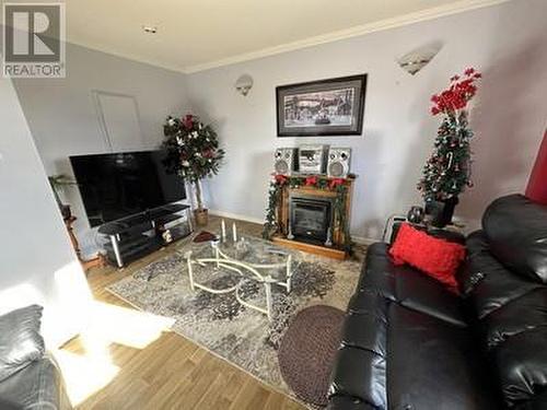 12A Tyres Drung, Carbonear, NL - Indoor Photo Showing Living Room With Fireplace