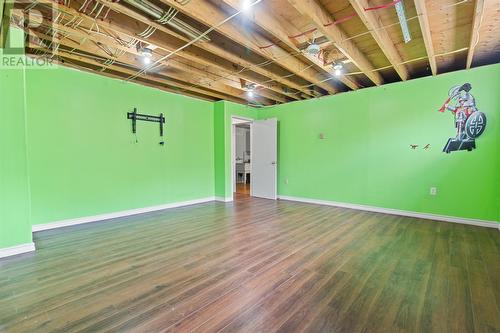 17 Pinehill Place, Paradise, NL - Indoor Photo Showing Basement