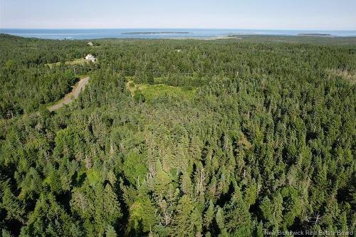 - Dark Harbour Rd, Grand Manan, NB 