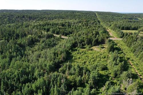 - Dark Harbour Rd, Grand Manan, NB 