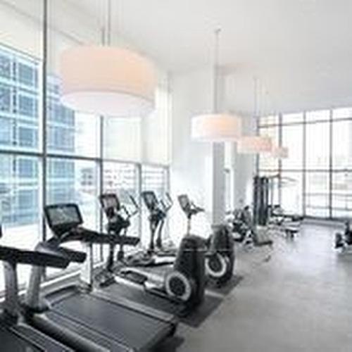 1510-295 Adelaide St W, Toronto, ON - Indoor Photo Showing Gym Room