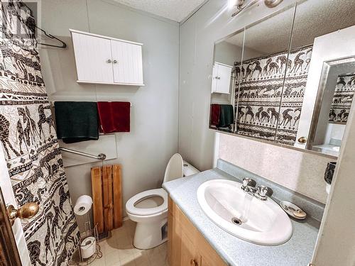 21 208 Eighth Street, 100 Mile House, BC - Indoor Photo Showing Bathroom