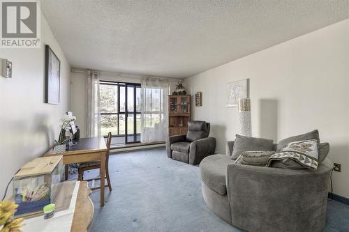 89 Pine St # 207, Sault Ste. Marie, ON - Indoor Photo Showing Living Room