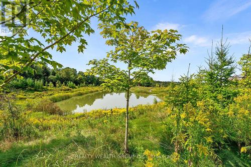 261 Seaview Heights S, East Gwillimbury, ON - Outdoor With View